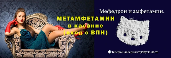 индика Медвежьегорск