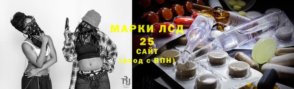 индика Медвежьегорск