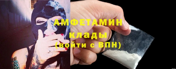 индика Медвежьегорск