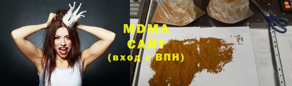 индика Медвежьегорск