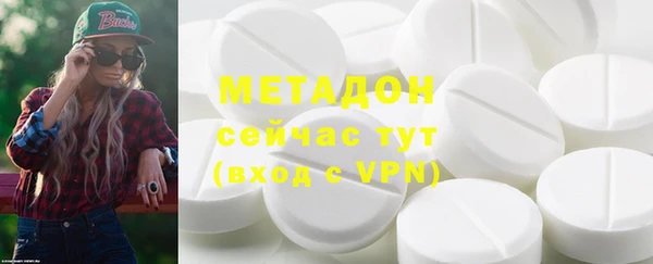 индика Медвежьегорск
