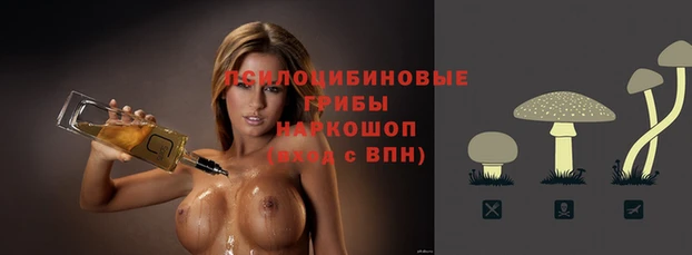 индика Медвежьегорск