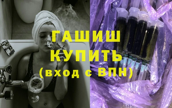 индика Медвежьегорск