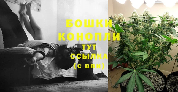 индика Медвежьегорск