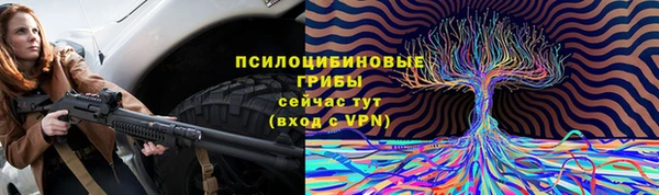 индика Медвежьегорск