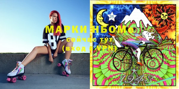 индика Медвежьегорск