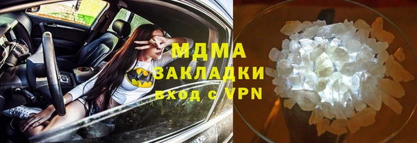 индика Медвежьегорск