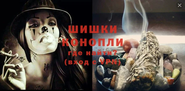 индика Медвежьегорск