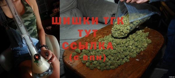 ПСИЛОЦИБИНОВЫЕ ГРИБЫ Алапаевск