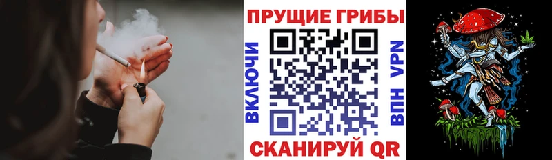 площадка Telegram  Сим  Галлюциногенные грибы MAGIC MUSHROOMS  hydra ссылки 